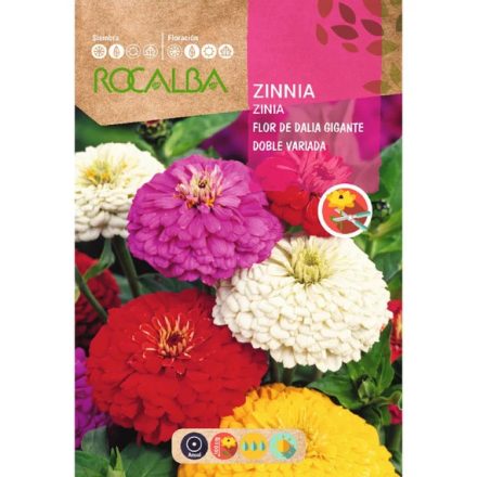 Legényvirág virágmag  nagyvirágú színkeverék 6g