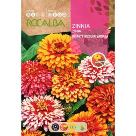 Legényvirág virágmag  Gigante Bicolor 6g