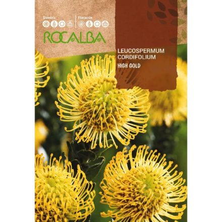 Cukorcserje Protea mag  Leucospermum 6 szem
