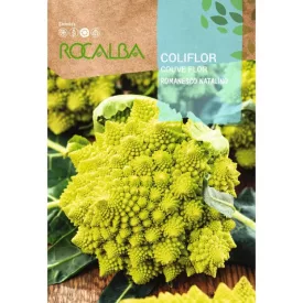 Csúcsos Karfiol vetőmag Romanesco 8g