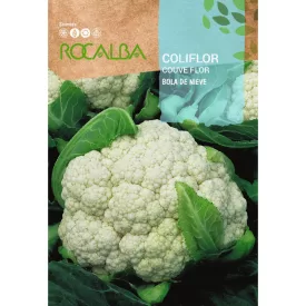 Karfiol vetőmag Bola De Nieve 3g