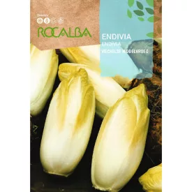 Endivia saláta vetőmag Mechelse Middelvroeg 10g