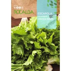 Endivia Saláta vetőmag Corneta De Burdeos 6g