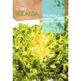 Endivia Saláta vetőmag Rizada Perruca Del Prat 6g