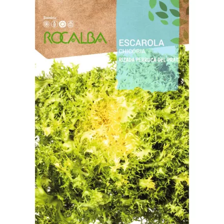 Endivia Saláta vetőmag Rizada Perruca Del Prat 6g