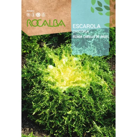 Endivia Saláta vetőmag Rizada Cabello De Angel 6g