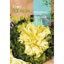 Endivia Saláta vetőmag Gigante Hortelana (Maraichere) 6g