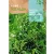 Rapini vetőmag Cima Diapa (90 napos) 10g