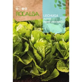Római saláta vetőmag Rúbia 6g