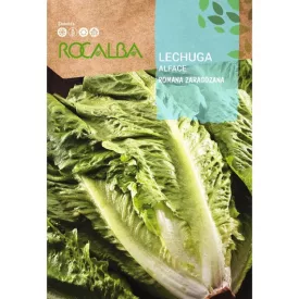 Római saláta vetőmag Zaragozana 6g