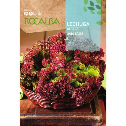 Tépősaláta vetőmag Lollo Rossa 6gr