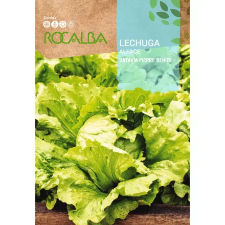 Saláta vetőmag Pierre Benite 6g