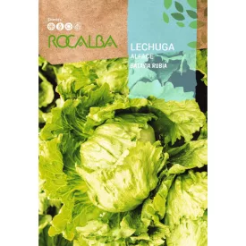 Saláta vetőmag Batavia Raubia 6g