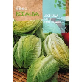 Saláta vetőmag Sucrine 3g
