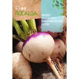 Tarlórépa vetőmag Blanco Globo Colo Roxo (60 Dias) 10g
