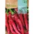 Paprika vetőmag Pedral 1g