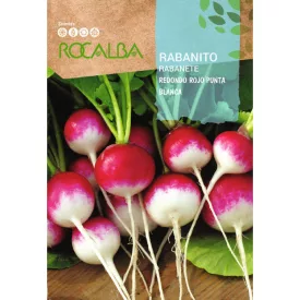 Retek vetőmag Redondo Rojo Punta Blanca 10g