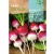 Retek vetőmag Redondo Rojo Punta Blanca 10g