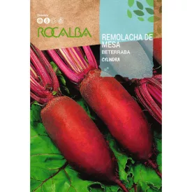 Cékla vetőmag Cylindra 10g