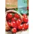 Paradicsom vetőmag Red Cherry 1g