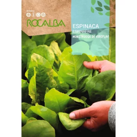 Spenót vetőmag Viroflay 10g