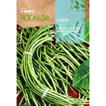 Spárgabab Charlotte 30g