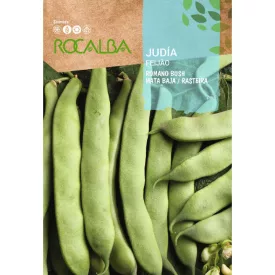 Zöldhüvelyű Bokorbab Romano Bush 50g