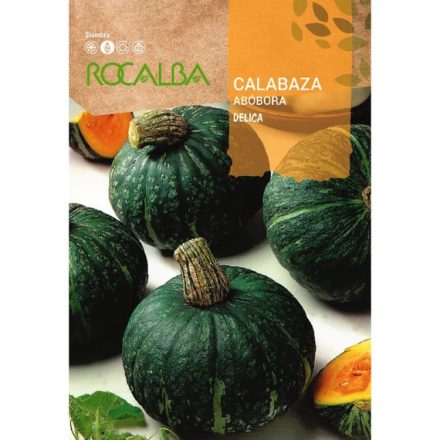 Sütőtök mag  Delica 3g