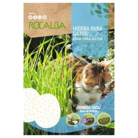 Macskafű Vetőkorong 132 szem 3x10cm