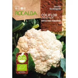   Karfiol Napoletano Gennarese BIO minősítésű ECO vetőmag 1g