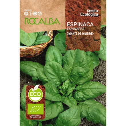 Spenót vetőmag Gigante de Invierno BIO minősítésű ECO vetőmag 8g