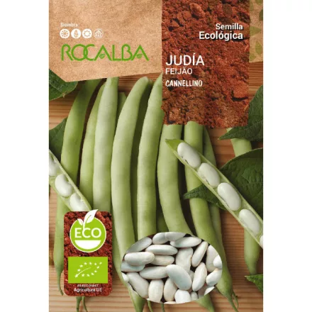Zöldhüvelyű Szárazbab Cannellino BIO minősítésű ECO vetőmag 15g