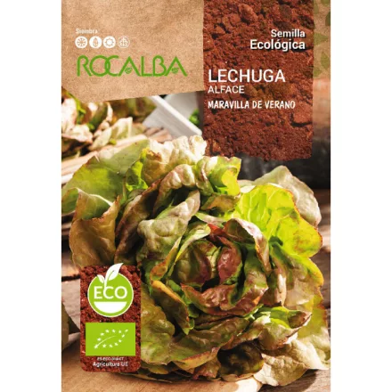 Saláta vetőmag Maravilla de Verano BIO minősítésű ECO vetőmag 2g