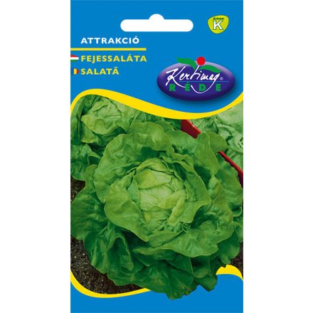 Fejessaláta mag  Nyári Attrakció 3g