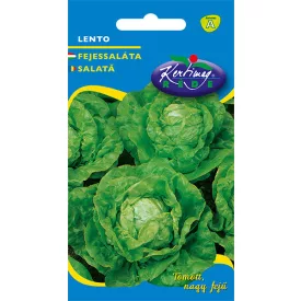 Fejessaláta vetőmag Lento 2g