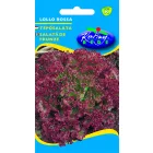 Tépősaláta vetőmag Lollo rossa 2g