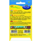 Tépősaláta mag  Lollo rossa 2g