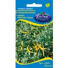 Chili paprika mag  Tüzes sárga 0,5g