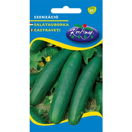 Salátauborka mag  Szenzáció 2g