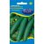 Salátauborka mag  Szenzáció 2g