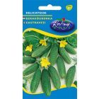 Uborka mag  Delicatess 2g