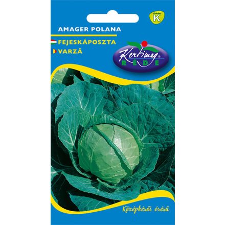 Fejeskáposzta mag  Amager polana 2g