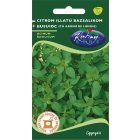 Bazsalikom mag  Citromillatú 1g