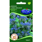 Kerti borágó mag 1g