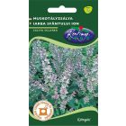 Muskotályzsálya mag 1g