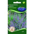 Macskamenta mag 0,25g