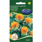 Sáfrányos szeklice mag 2g