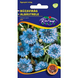 Búzavirág virágmag Centaurea cyanus kék