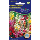 Oroszlánszáj virágmag Antirrhinum majus színkeverék