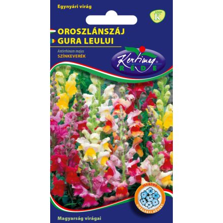 Oroszlánszáj virágmag Antirrhinum majus színkeverék